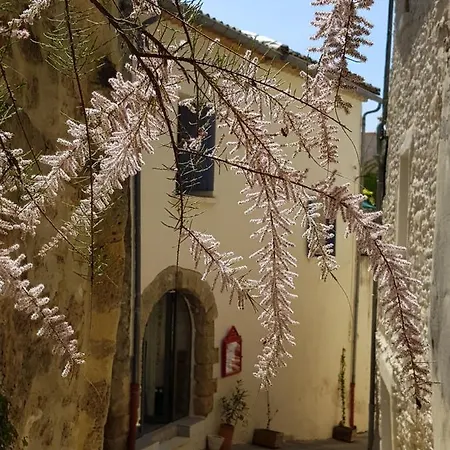 Chez Olivia Et Rene بيت ضيافة *